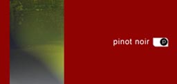 Pinot Noir Cd-Cover